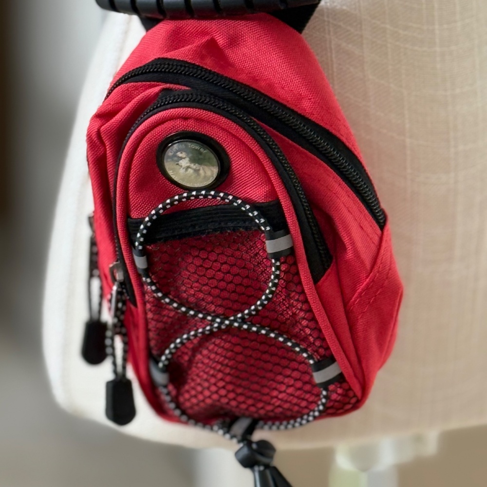 Mini Backpack Crossbody From Devil's Tower Monume… - image 4